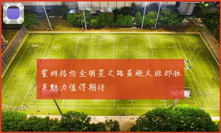 霍姆格伦全明星之路虽逊文班却独具魅力值得期待