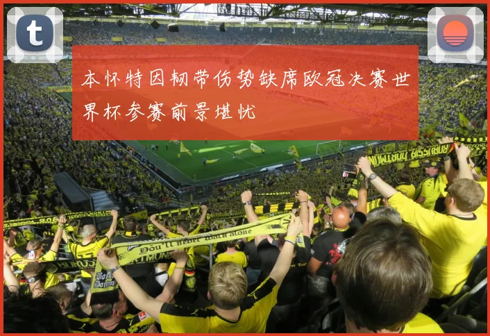 本怀特因韧带伤势缺席欧冠决赛世界杯参赛前景堪忧